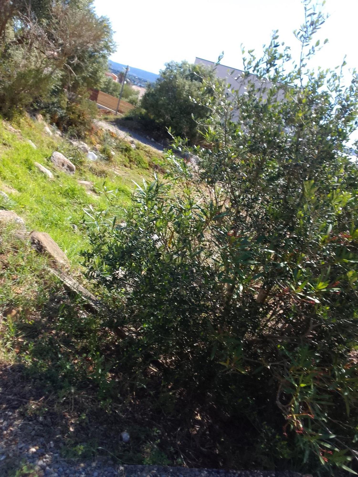 Gite De L'Etang Proche Des Grands Buffets Narbona Exterior foto